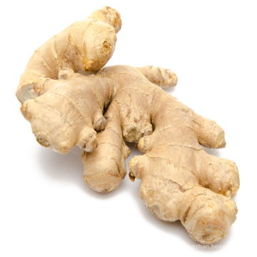Ginger Wholesale Chinese High Quality Fresh Ginger Semi Air Dried Ginger